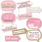 Big Dot of Happiness Funny Pink and Gold - Hello Little One - Girl Baby Shower Photo Booth Props Kit - 10 Piece